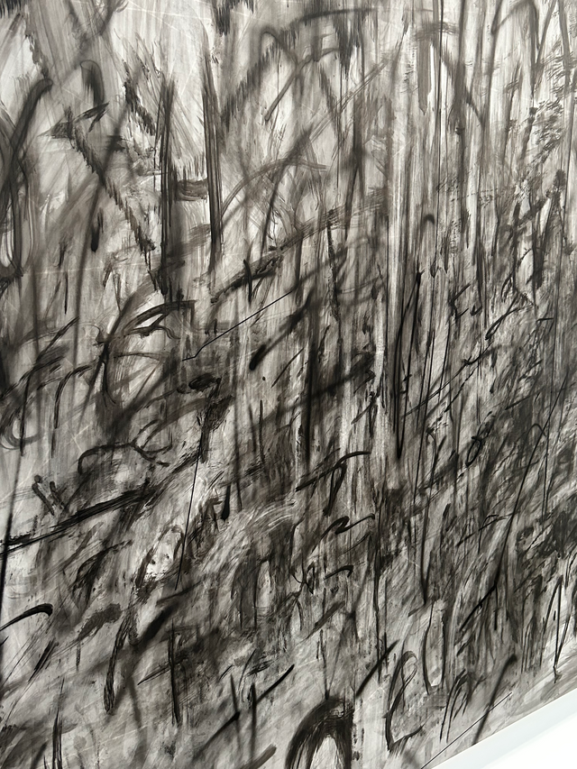 Charcoal Expression